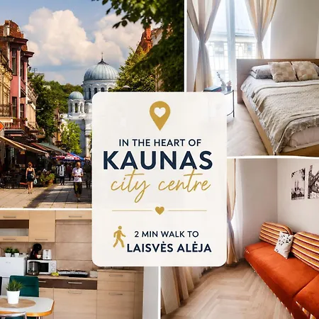 Comfortable Entire 2 Centre Parking Kaunas
