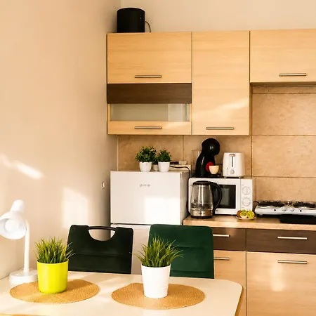 Comfortable Entire 2 Centre Parking Kaunas